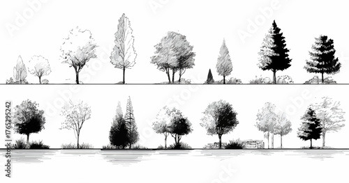 Collection of diverse hand-drawn trees in a linear arrangement, suitable for various design applications.