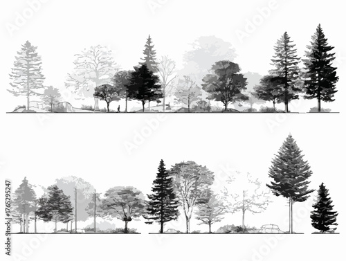 Diverse collection of deciduous and coniferous trees depicted in a detailed monochromatic vector illustration.