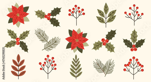 A festive collection of Christmas botanical illustrations featuring poinsettia, holly, berries, and pine branches.