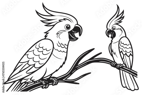 Two friendly cockatoos perched on a branch, a black and white line art illustration for coloring