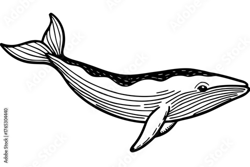 Majestic Whale Illustration Captivating Marine Life Art in Black and White for Creative Projects