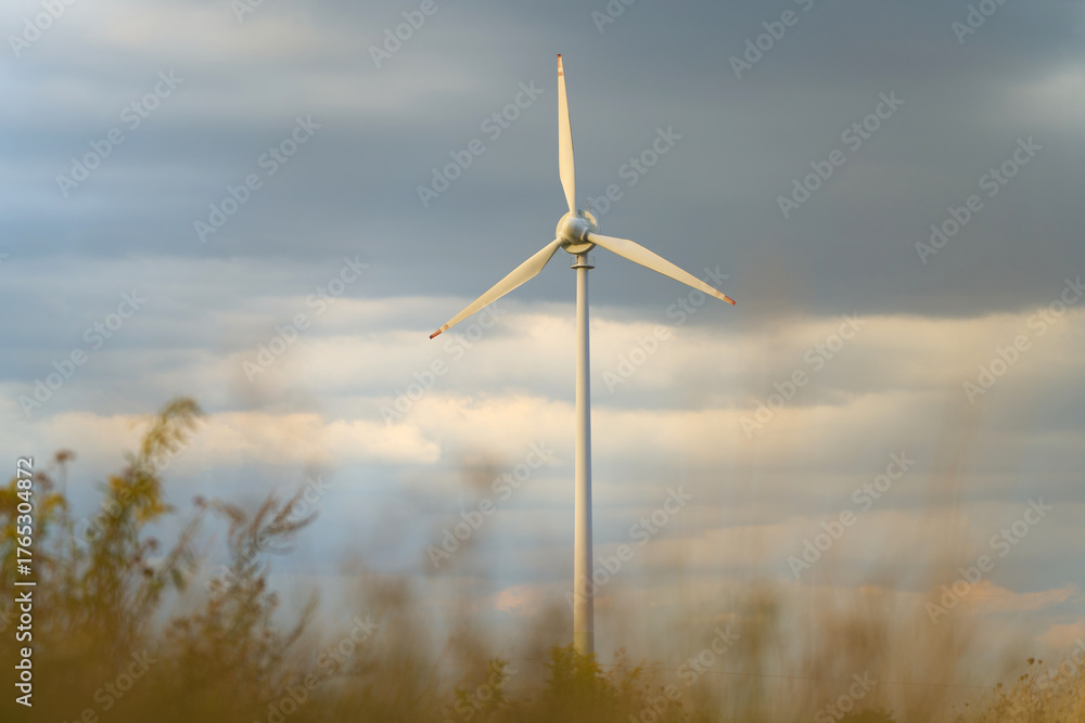 Fototapeta premium Eco friendly wind energy source in nature