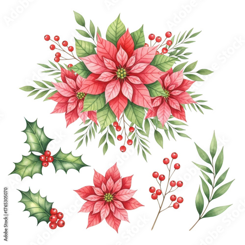 Beautiful watercolor poinsettia and holly arrangement for festive holiday decor and design elements isolated on transparent background