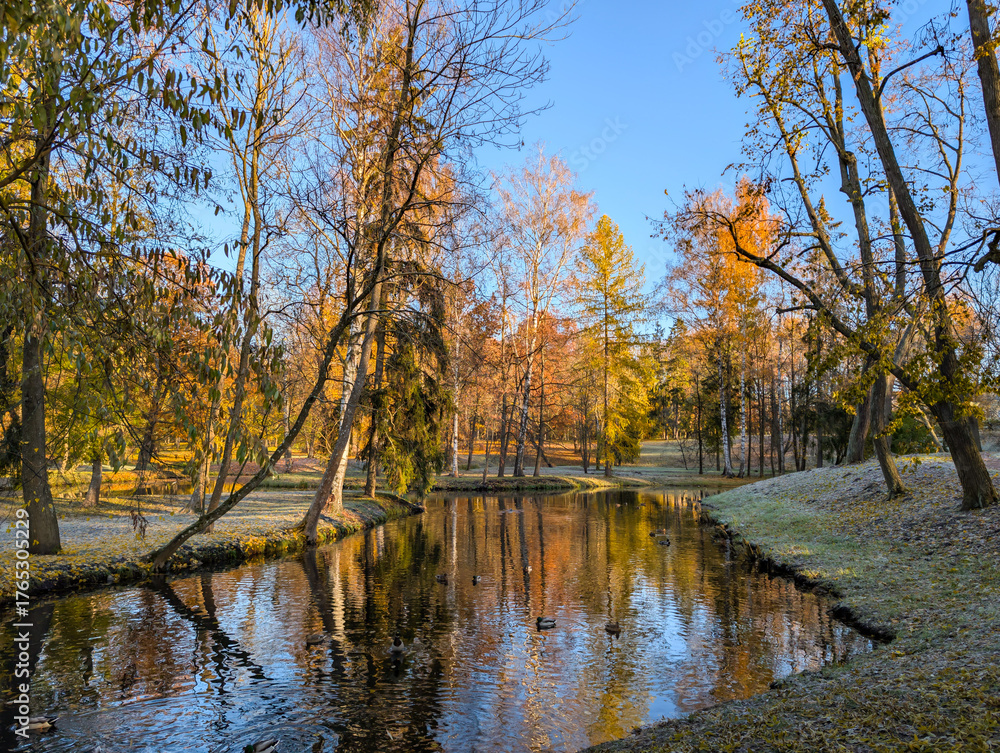 Obraz premium Landscape of autumn forest and river on a sunny day