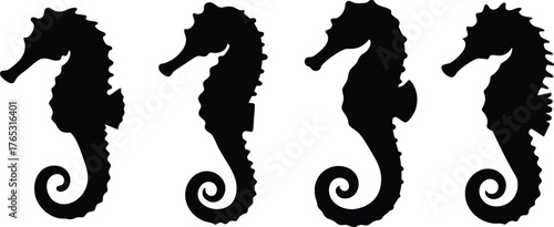 Black silhouette of a seahorse, minimalist monochrome design, vector illustration, simple black and white graphics
