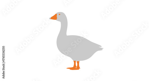 A fresh green avocado cut in half with the seed visible. A simple vector illustration for a healthy diet and vegetarian food concepts