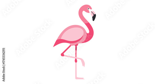 A fresh green avocado cut in half with the seed visible. A simple vector illustration for a healthy diet and vegetarian food concepts