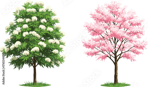 Cherry blossom and viburnum trees in spring garden landscape with pink and white flowers, botanical vector illustration on green grass background