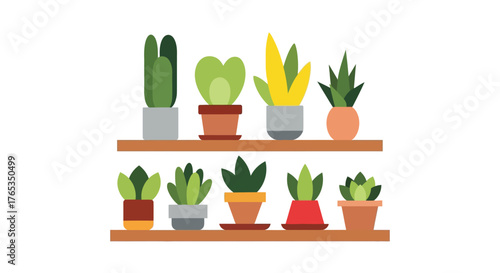 Collection of various potted houseplants displayed on simple shelves, bringing nature indoors.