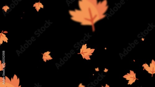 Falling autumn leaves particle motion animation background seamless loop overlay on alpha channel