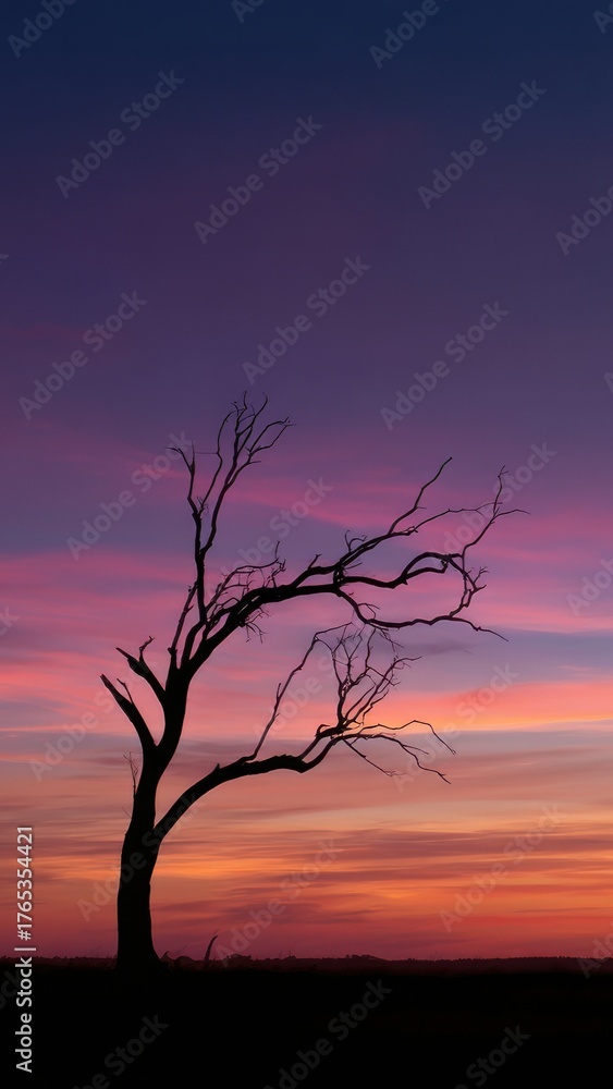 Fototapeta premium Silhouette of a tree against a vibrant sunset