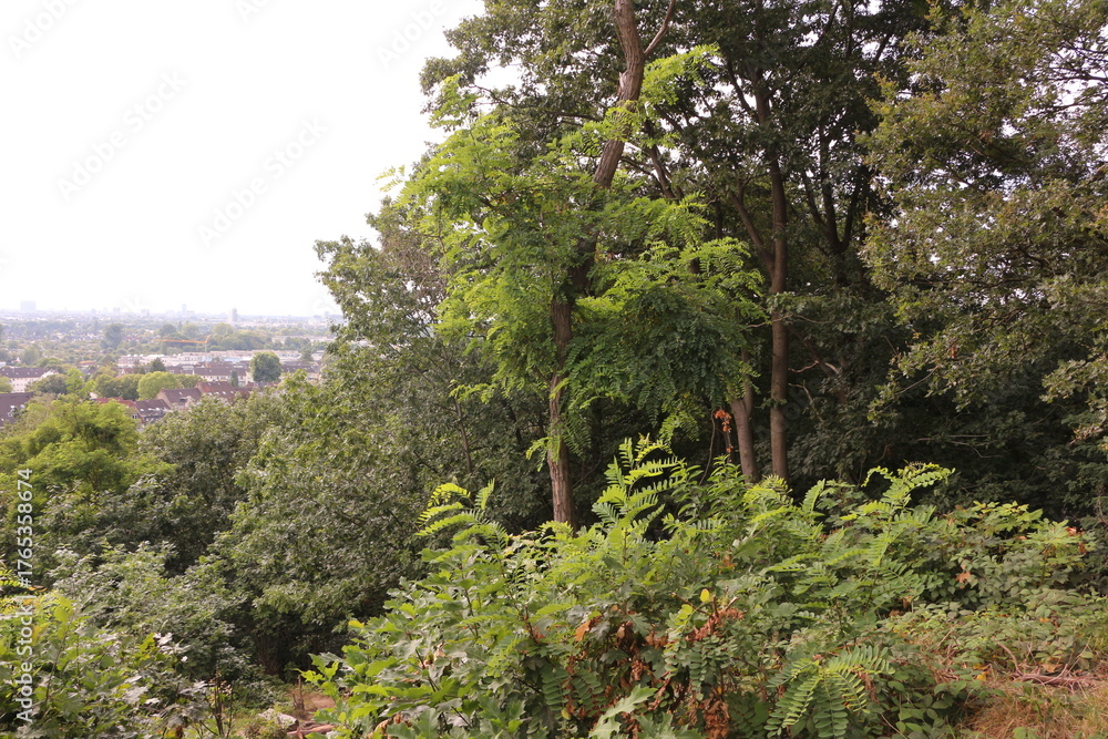 Fototapeta premium Blick auf die Stadt Düsseldorf am Rhein