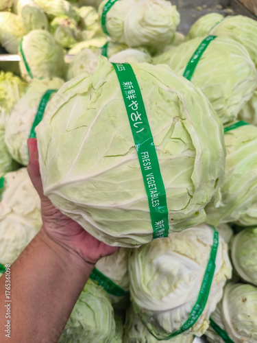 Konstfotografi Holding a Head of Fresh Cabbage