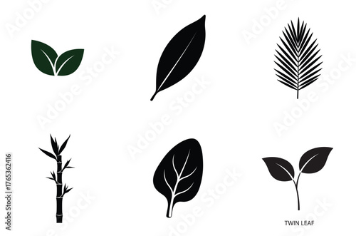 Diverse vector leaf silhouettes collection featuring palm broadleaf spinach and bamboo plant elements isolated on white background