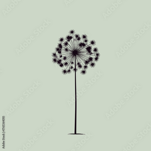 Minimal vector illustration of allium flower silhouette with round head and thin stem on soft green background