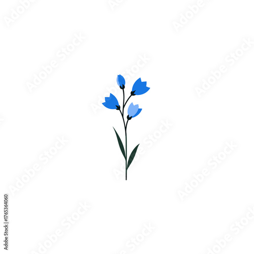 Simple vector illustration of bluebell flower stem with small blossoms on white background
