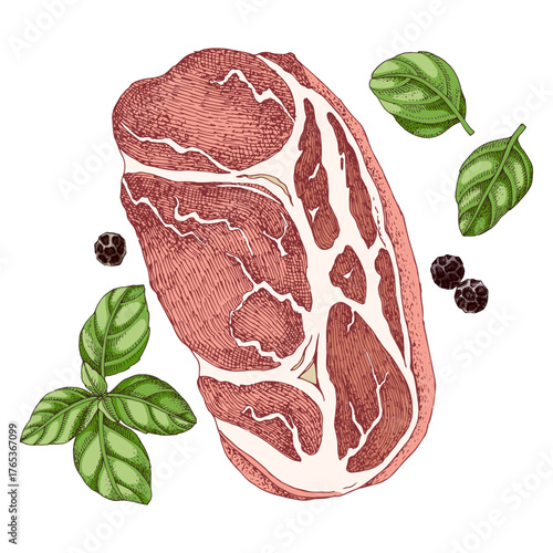 Boneless pork butt vector sketched illustration