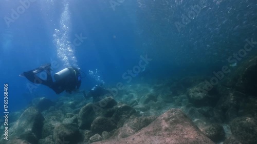 Wallpaper Mural a massive school of sardines shimmering brilliantly beneath the sunlight. scubadivers watching and gliding in slow motion, cinematic, high resolution Torontodigital.ca