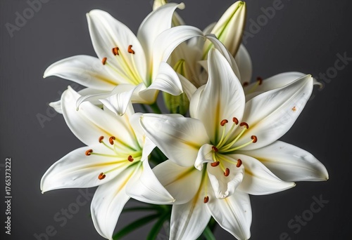 Elegant white lilies arranged in a classic bouquet, romantic, clean