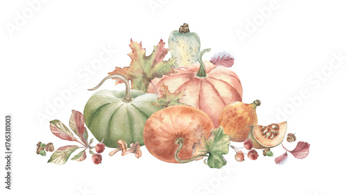 Autumn watercolor pumpkins label art. Variety pumpkins and woodland autumn plants hand drawn isolated. Fall harvest drawing for farm to table labels. Botanical sketch for Thanksgiving greeting cards.