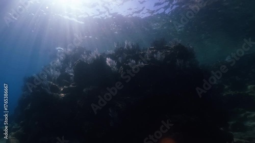 An underwater scene coral-covered rocks, illuminated by shimmering sunlight filtering through the waves.