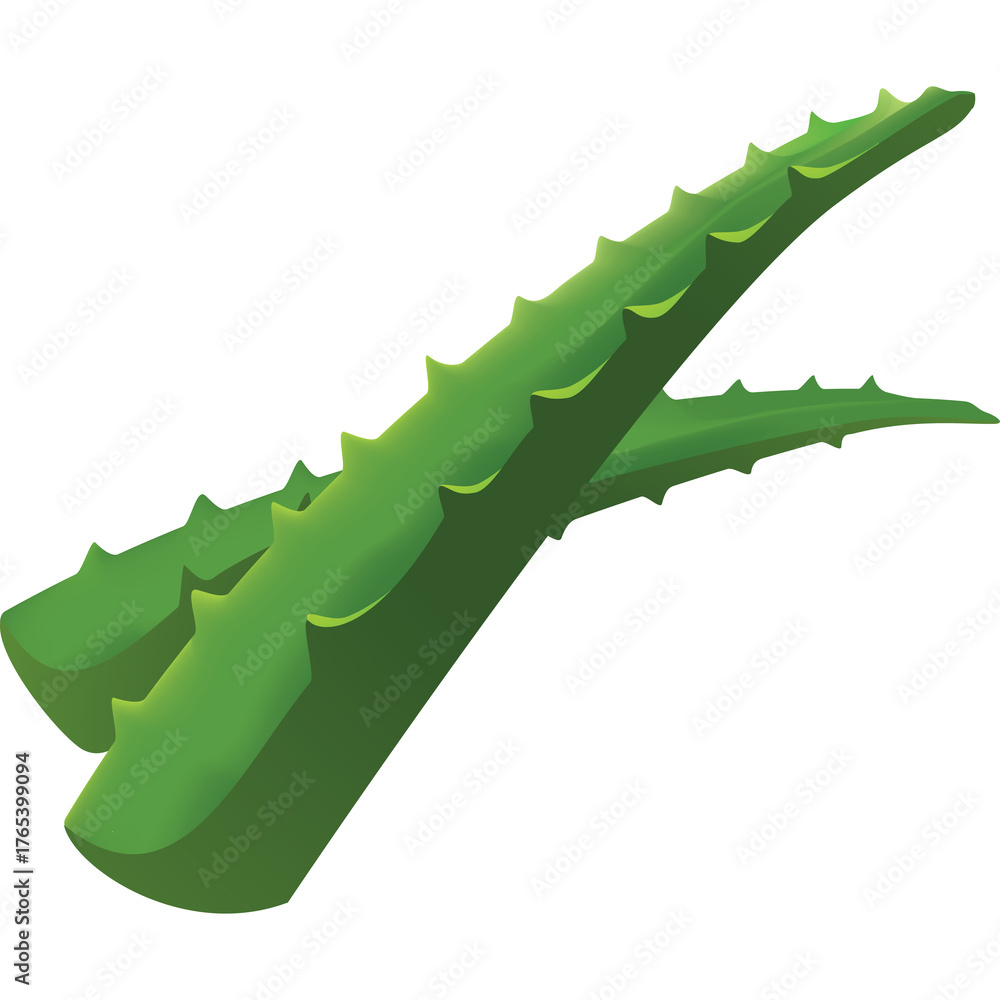 Naklejka premium Two Aloe Vera Leaves with Sharp Spikes in a Bright Green Color Isolated on a Transparent White Background