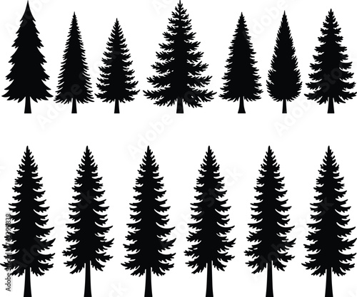 Conifer tree silhouette set, black vector collection, winter forest shapes, botanical variation design, evergreen illustration, symmetrical tree row, seasonal nature graphic art