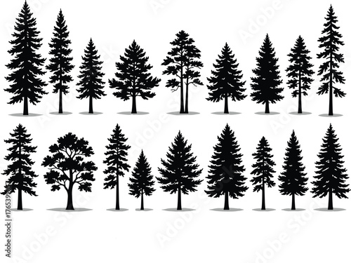 Conifer tree silhouettes, evergreen species comparison, black vector trees, stylized forest icons, botanical shape set, pine tree graphics, nature illustration pack, shadowed tree design