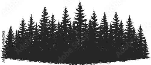Forest silhouette, conifer tree line, pine woodland vector, black nature graphic, evergreen tree formation, stylized forest design, botanical landscape, isolated tree background