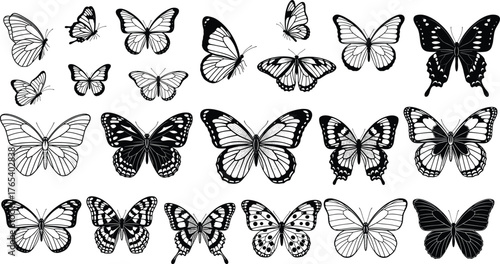 Butterfly silhouette icon set, black and white vector illustration, wing pattern designs, insect graphic collection, minimal nature elements, isolated entomology symbols