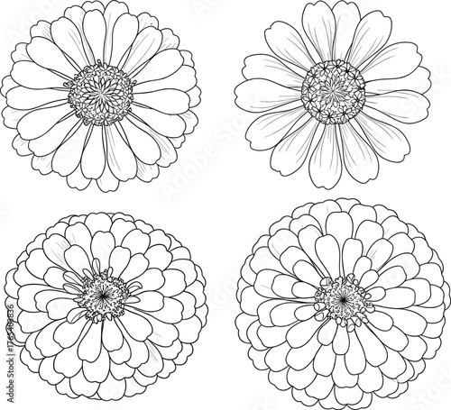 Floral vector illustration set, black line art flower drawings, botanical petal designs, nature-inspired graphics, printable garden elements, minimal organic style