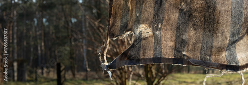 A fragment of a dirty, torn rag with a forest and meadow in the background.