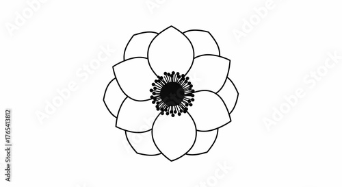 Simple black and white line drawing flower illustration design Anemone Floral Botanic Petal Bloom Outline Vector Minimal Art