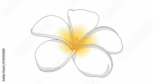 Elegant white plumeria flower illustration glowing yellow center isolated vector graphic design floral summer tropical