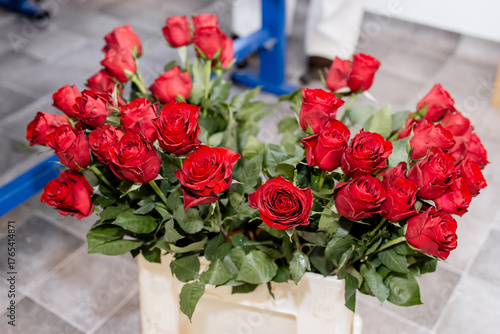 Wallpaper Mural Fresh Red Roses in Plastic Container on Flower Shop Floor, Close-up of Wholesale Floral Bunch Ready for Arranging Torontodigital.ca