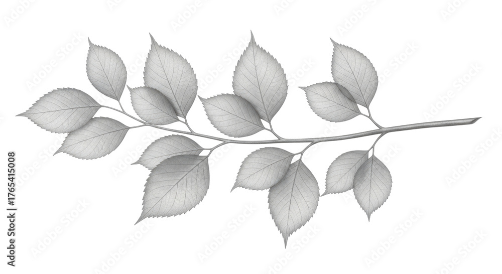 Fototapeta premium Silver leaf branch transparent background cutout png