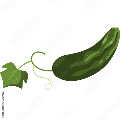 A Single Green Cucumber With Leaves and Vine on a Transparent Background