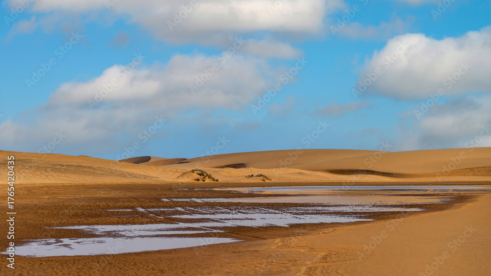 Fototapeta premium Le désert du Namib