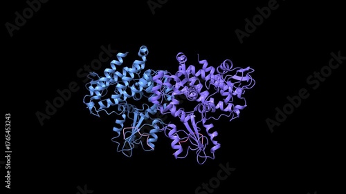 Structure of c-Cbl-ZAP-70 peptide complex. Animated 3D cartoon and molecular surface models, pdb 2y1n, black background.
