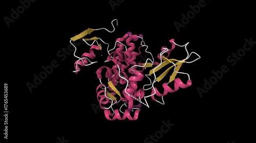 Structure of native c-Cbl. Animated 3D cartoon model, pdb 2y1m, secondary structure color scheme, black background.