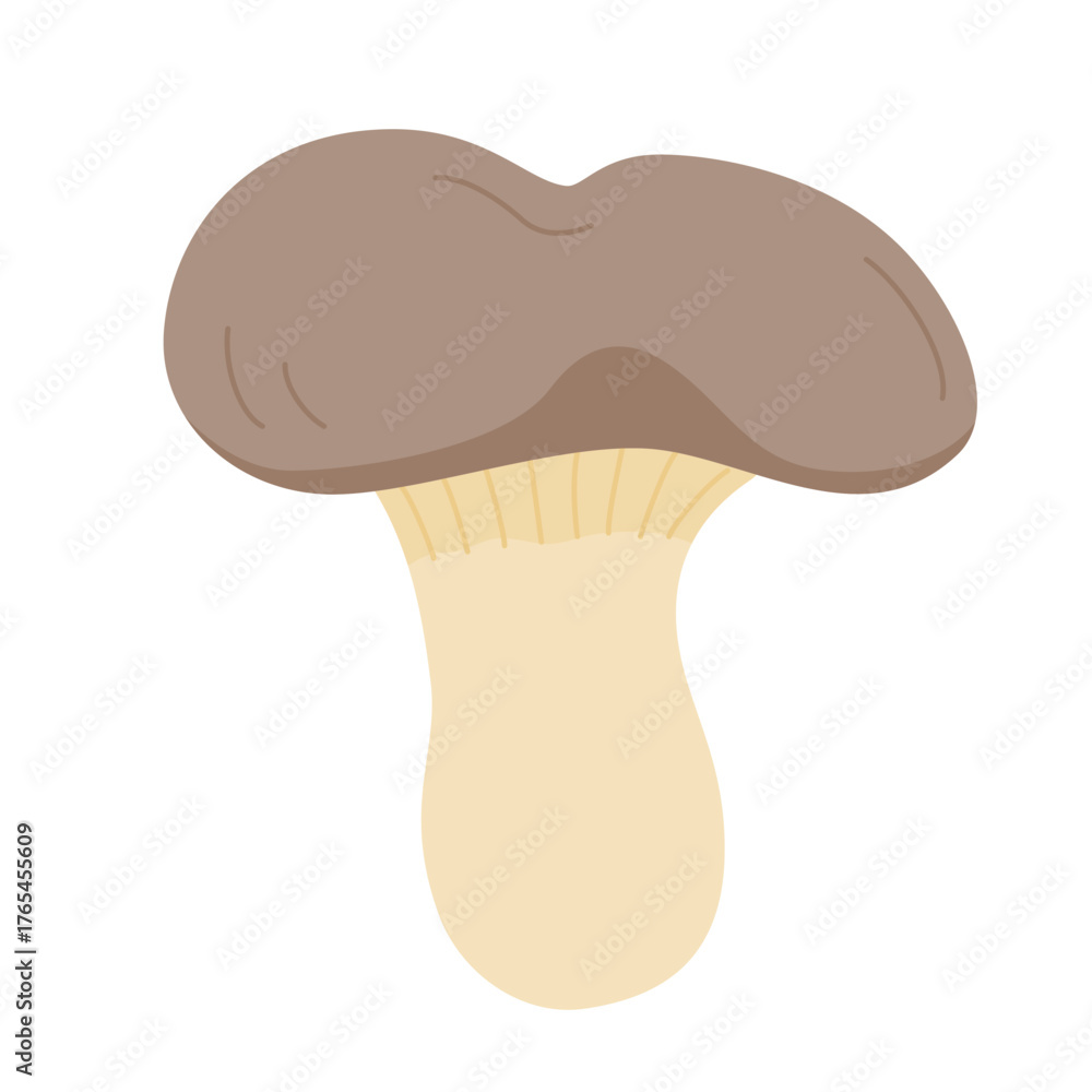 Fototapeta premium ひらたけの主線無しイラスト