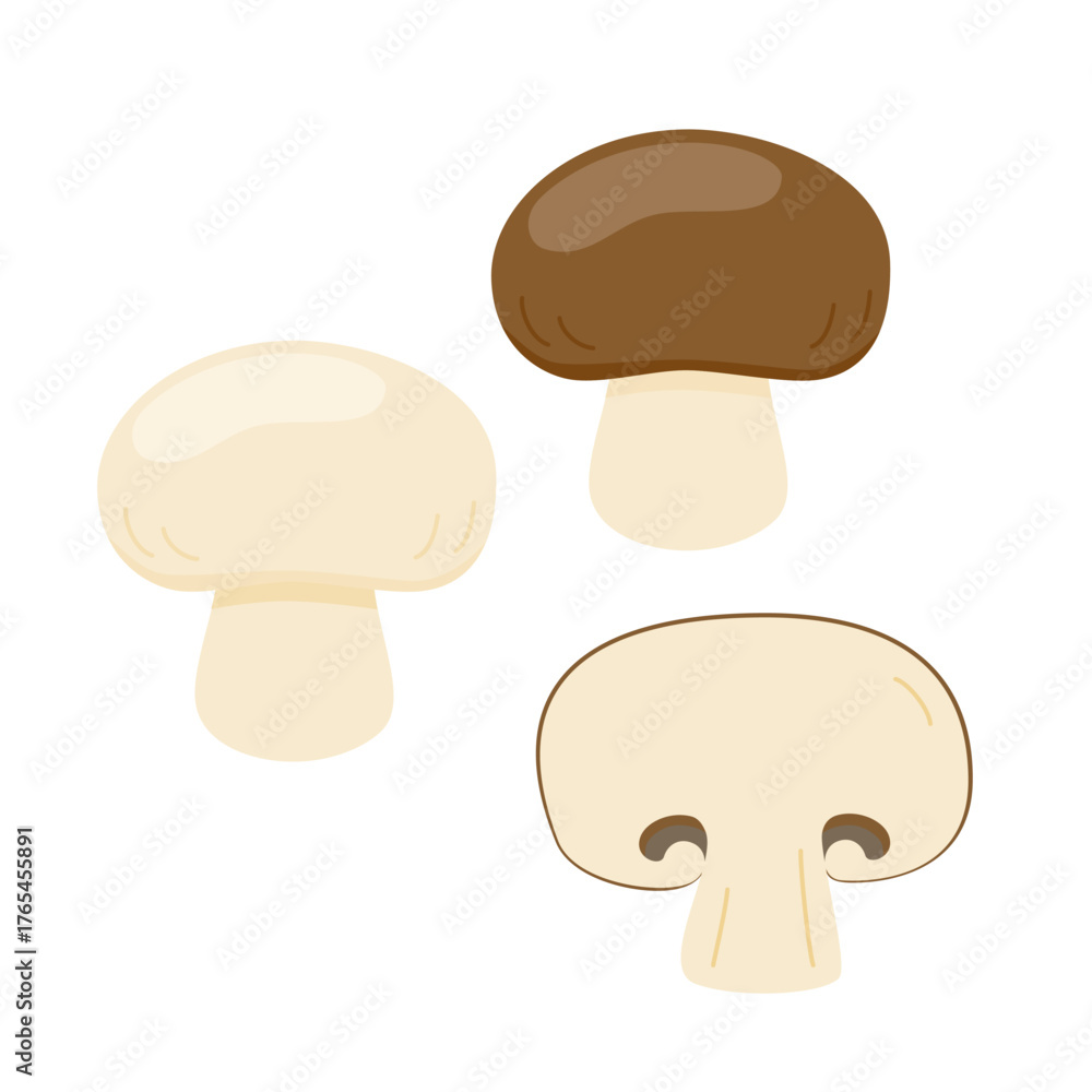 Fototapeta premium マッシュルームの主線無しイラスト