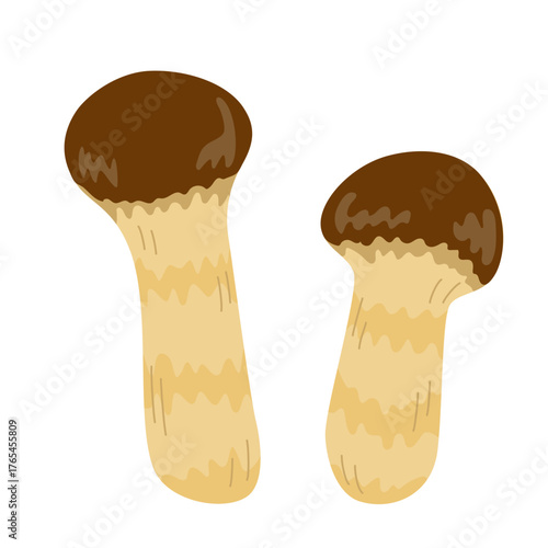 松茸の主線無しイラスト