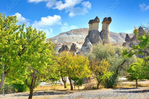 One of the wonders of the world. View of scenic geological formations and fairy chimneys in a beautiful valley , Cappadocia, Turkey