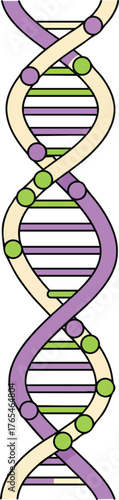 Colorful DNA double helix structure vector illustration genetics research