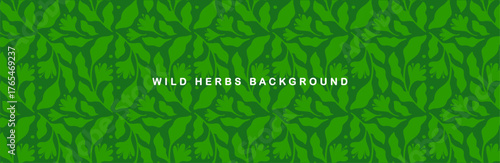 Green Wild herb background, botanical banner with a pattern of hand-drawn leaves and branches