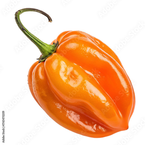 Wallpaper Mural Habanero pepper PNG (transparent) Torontodigital.ca