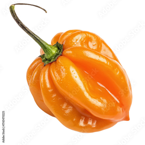 Wallpaper Mural Habanero pepper PNG (transparent) Torontodigital.ca