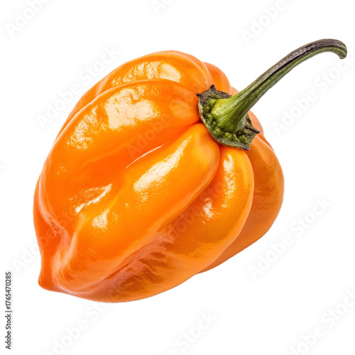 Wallpaper Mural Habanero pepper PNG (transparent) Torontodigital.ca
