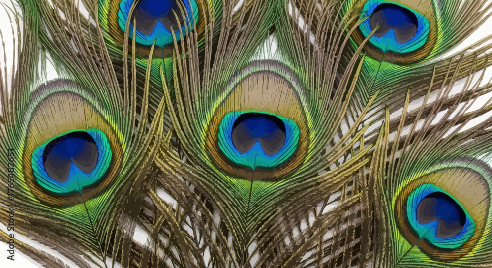 Fototapeta premium Intricate Peacock Feathers Displaying Vibrant Eye Patterns and Delicate Textures